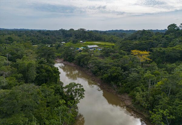 Reasignan al juez de la consulta sobre la extracción de crudo en la Amazonía de Ecuador - MarketData