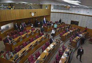 Convocan a sesión extra del Senado para el lunes, pero dudan del quórum - Política - ABC Color