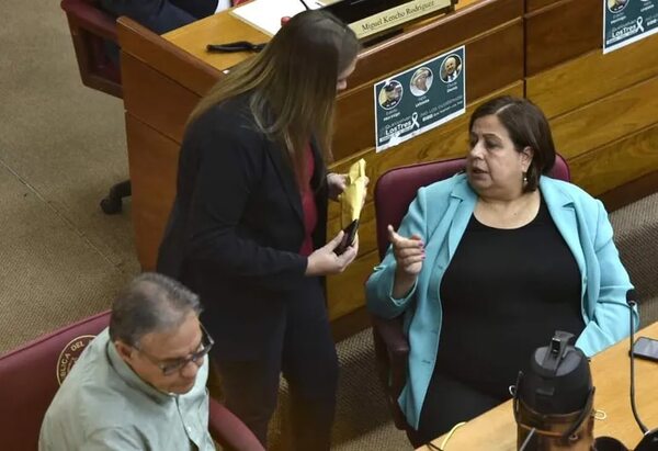 Senadores rechazan presupuesto para el Incan - Política - ABC Color