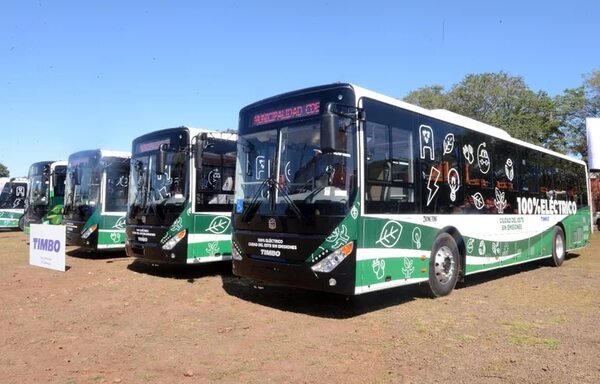 Timbo entregó 20 buses eléctricos a CDE - Empresariales - ABC Color