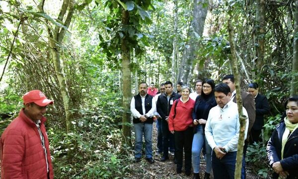 Habilitan oficialmente sendero “Los Hongos” en la Reserva Natural Tatí Yupí de ITAIPU – Diario TNPRESS