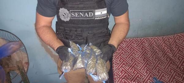 Neutralizan foco de venta de marihuana en Concepción | 1000 Noticias