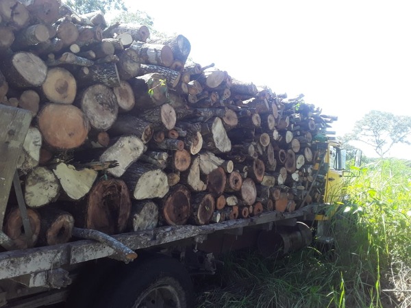 Incautan un camión repleto de maderas sustraídas de una estancia