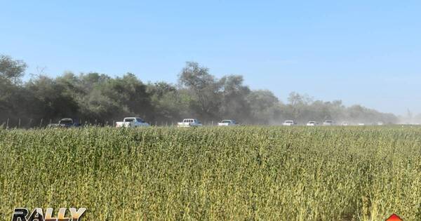 La Nación / Capeco trae la segunda edición del Rally de la Soja Mariscal 2023