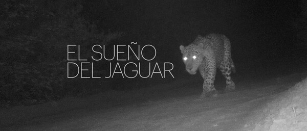El sueño del Jaguar: Exposición de arte que invita a reflexionar sobre el cuidado ambiental en Paraguay - Revista PLUS