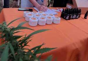 Concurrida feria de cannabis en la Plaza Italia - La Tribuna