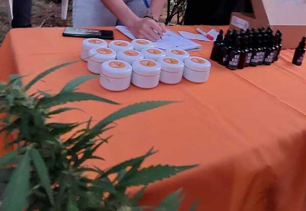 Concurrida feria de cannabis en la Plaza Italia - La Tribuna