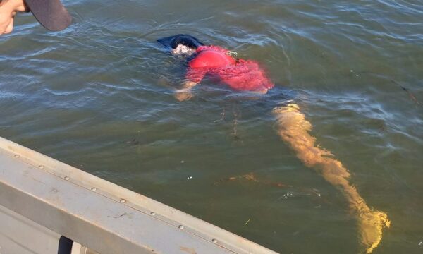 Cuerpo de estibador desaparecido desde el miércoles flota en el lago, en Puerto Indio – Diario TNPRESS