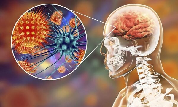 Se recuerda hoy el Día Mundial contra la Meningitis
