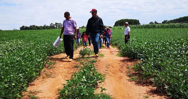 Comercialización del maíz y cosecha de soja generaron buenos rendimientos a pequeños productores