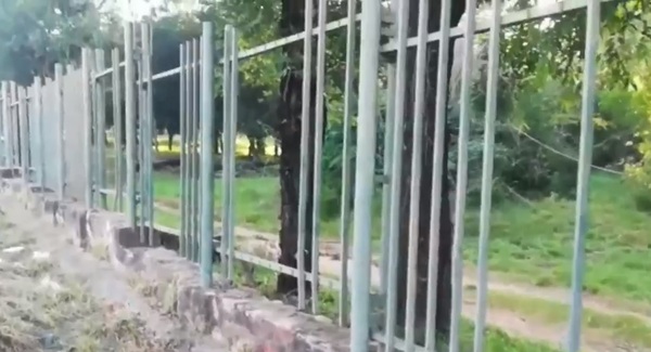 Jardín Botánico en estado deplorable y abandonado: Roban cables, iluminación y hasta rejas