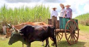 La Nación / Paraguay y Taiwán firmarán mañana homologación para productos orgánicos