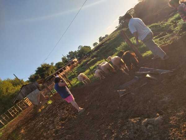 Marginales armados roban 6 ovejas en Alto Vera