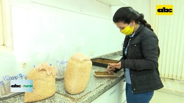 Video: Preparan Congreso de Semillas 2023  - ABC Rural - ABC Color