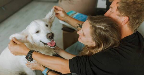 La Nación / ¿A quién prefieren los perros, hombres o mujeres?