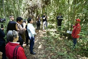 Turismo interno: Itaipú habilita sendero “Los Hongos” como nuevo atractivo - ABC en el Este - ABC Color