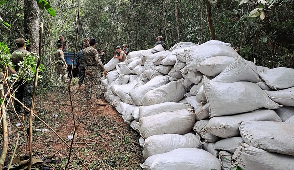 Paraguay narco: Destruyen 130 toneladas de droga en norteña zona de Amambay pero no hay reporte de detenidos – La Mira Digital