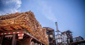 La Nación / Firmarán homologación para productos orgánicos