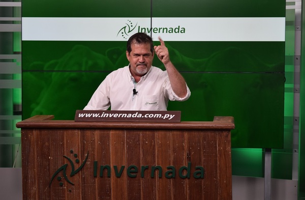 Invernada remata 820 vacunos en feria de Ganadera Lineas Panchita G S.A., mañana miércoles