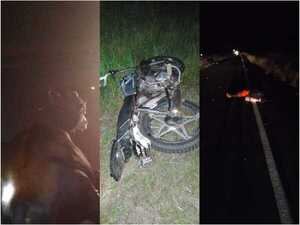 Misiones: joven motociclista muere tras chocar contra un vacuno