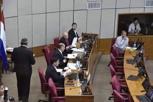 Sesión “meteórica” del Senado por campaña electoral - Política - ABC Color