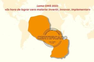 Hoy se conmemora el “Día Mundial del Paludismo” | Lambaré Informativo
