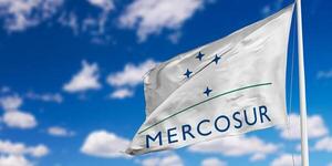 Invitan a participar de diplomado internacional “Paraguay en el MERCOSUR”