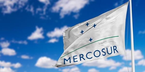 Invitan a participar de diplomado internacional “Paraguay en el MERCOSUR”