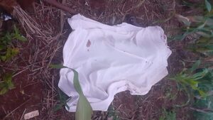 Hallan muerto en su chacra a hombre que estaba desaparecido - Noticiero Paraguay
