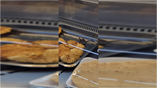 Supermercado lamenta lo sucedido con la rata "comilona"