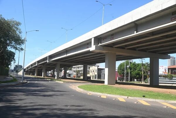 Burlas por “olvido” de paisajismo en viaducto Botánico, mientras ministro de MOPC sigue en silencio - Economía - ABC Color