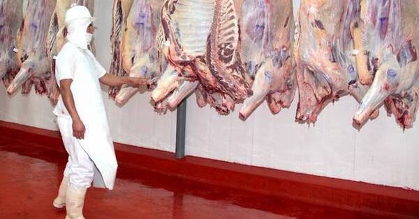La Nación / USDA mejora pronóstico de exportación de carne para Paraguay