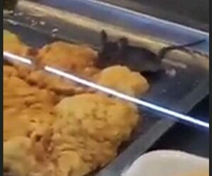 Supermercado lamenta lo de la rata filmada comiendo una mari