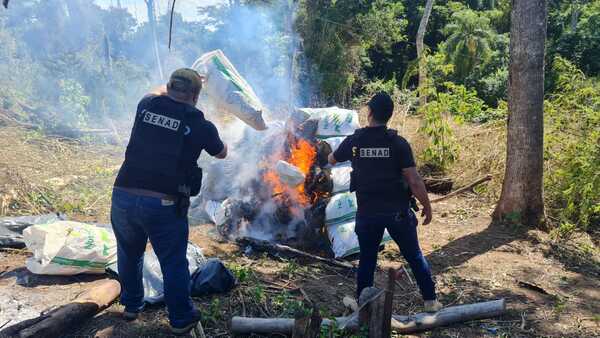 Diario HOY | Incautan más de 6 toneladas de marihuana en Caaguazú