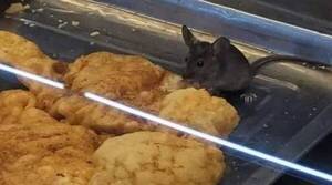 Intervinieron súper luego de que el "kapé de Jerry" sea filmado comiendo marinera