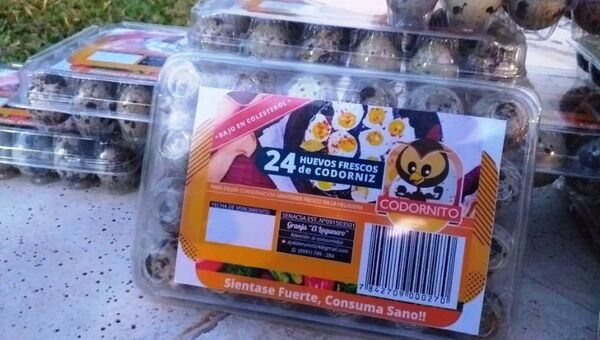 Codornito, un emprendimiento que produce más de 11.000 huevitos semanales (y busca expandirse)