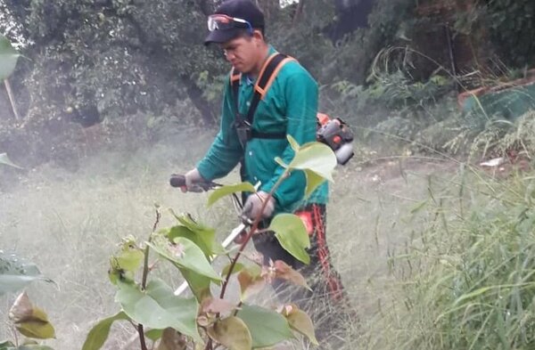 Intervienen baldíos en Lambaré en cumplimiento de Edicto | Lambaré Informativo