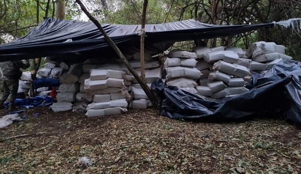 En 7 días, Nueva Alianza 37 sacó de circulación 840 toneladas de marihuana