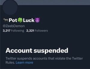 Sin lugar en la era de Elon Musk: Twitter suspende la cuenta del diseñador de una bandera del "Orgullo Pedófilo" - Informatepy.com