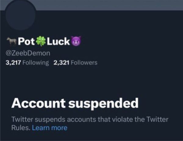 Sin lugar en la era de Elon Musk: Twitter suspende la cuenta del diseñador de una bandera del "Orgullo Pedófilo" - Informatepy.com