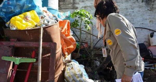 La Nación / Tras lluvias, Senepa intensifica tareas contra chikungunya en Asunción y Central