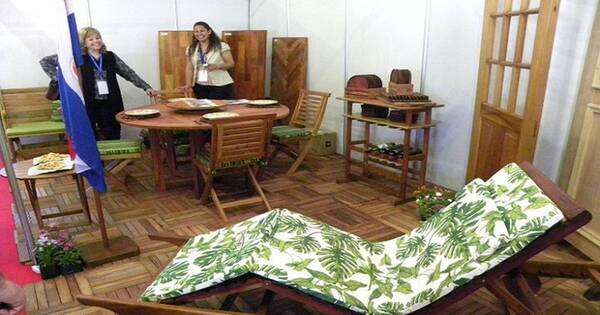 La Nación / Invitan a empresas del sector foresto industrial a ser parte de la Expo Madera 2023