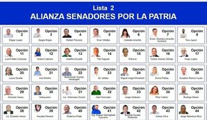 La Concertación, Lista 2, no ofrece opciones para el Senado desde Alto Paraná
