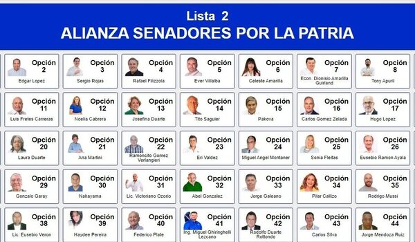 La Concertación, Lista 2, no ofrece opciones para el Senado desde Alto Paraná