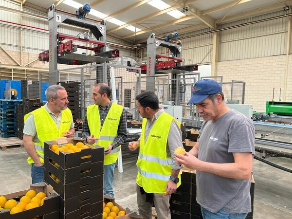 Por primera vez, Paraguay logró exportar caqui fresco al mercado europeo - .::Agencia IP::.