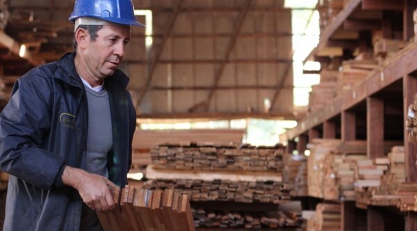 Diario HOY | En junio vuelve la Expo Madera Paraguay