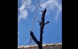 Hombre cae de una antena de 13 metros en Villa Elisa – Prensa 5
