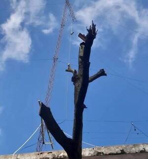 Joven se encuentra en grave estado tras caer de una antena de 13 metros