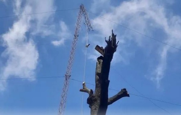 Diario HOY | Hombre cayó de una antena de 13 metros de altura