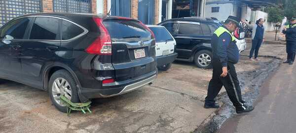PMT recuperó "cepo" pero el caso fue denunciado a la Fiscalía - C9N